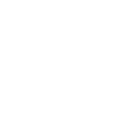 Fearsins